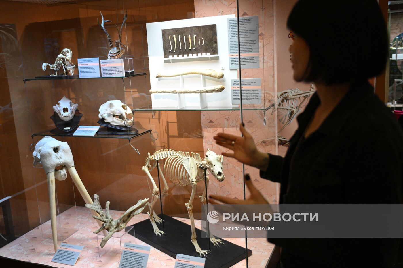 Выставка "Дары музею"к 117-летию Дарвиновского музея 