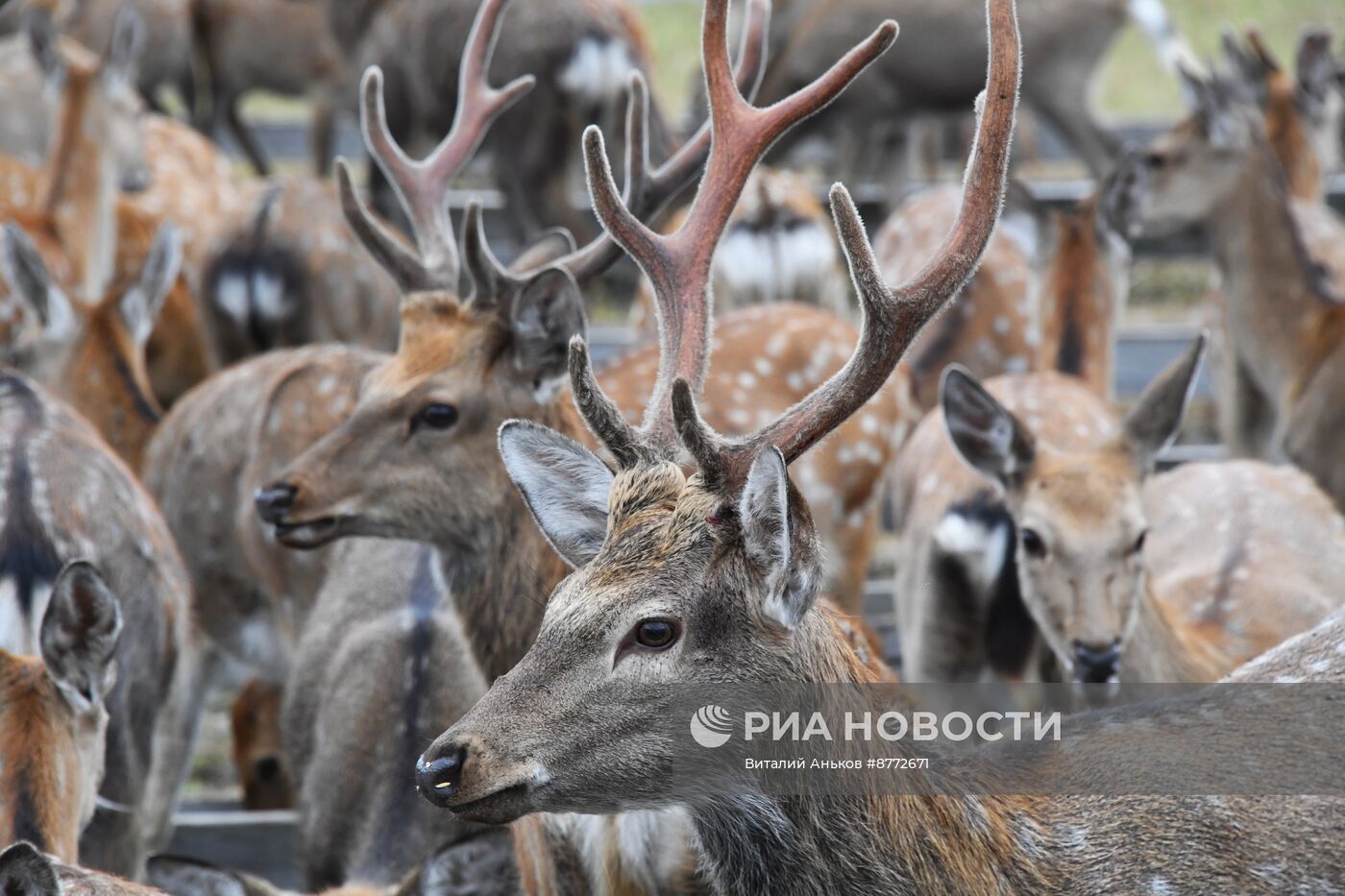 Открытие новых туристических объектов в нацпарке "Земля леопарда"