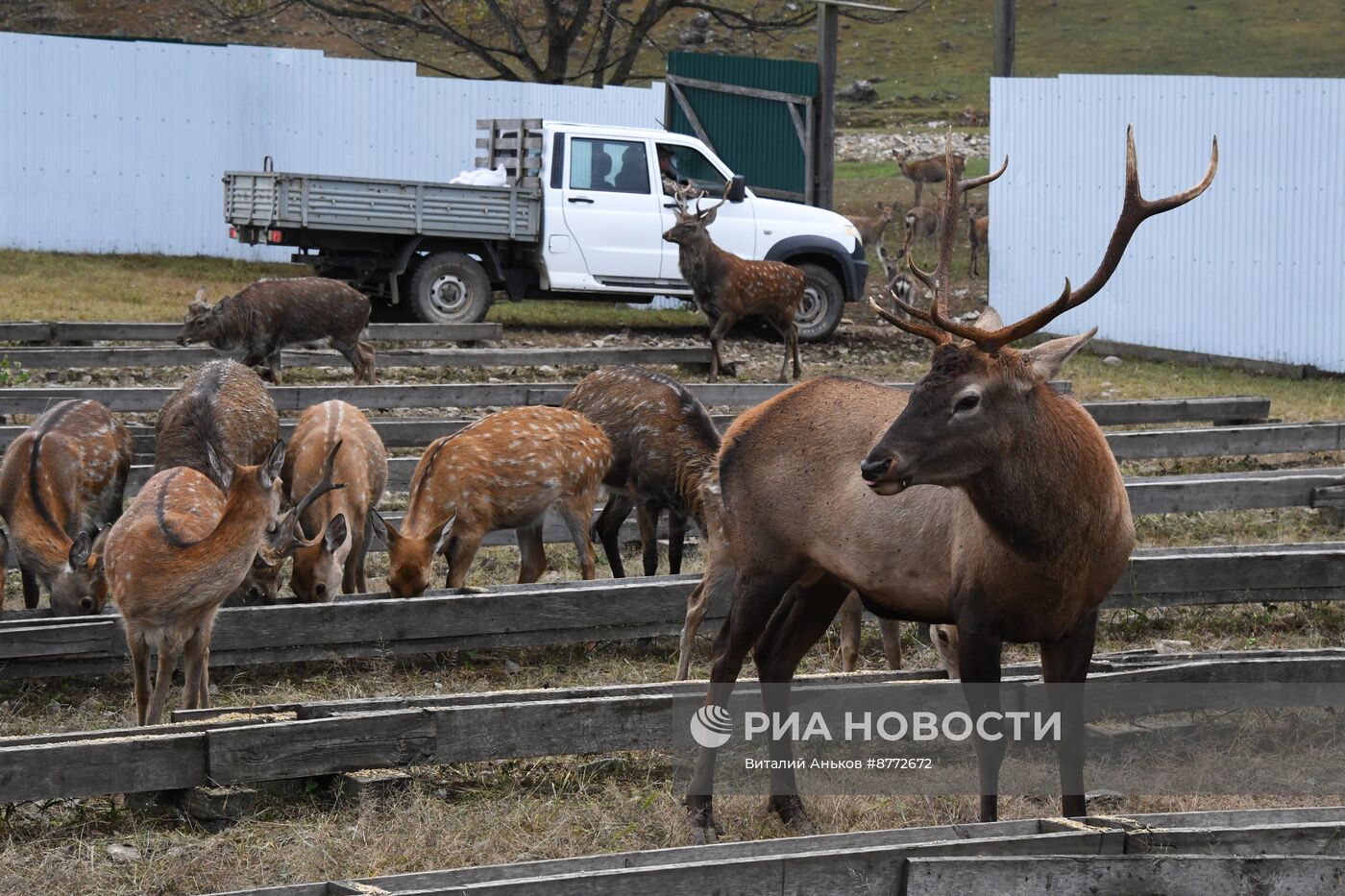 Открытие новых туристических объектов в нацпарке "Земля леопарда"