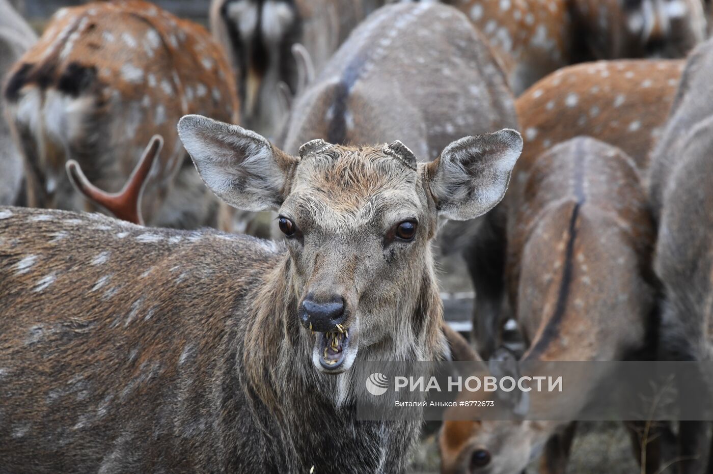 Открытие новых туристических объектов в нацпарке "Земля леопарда"