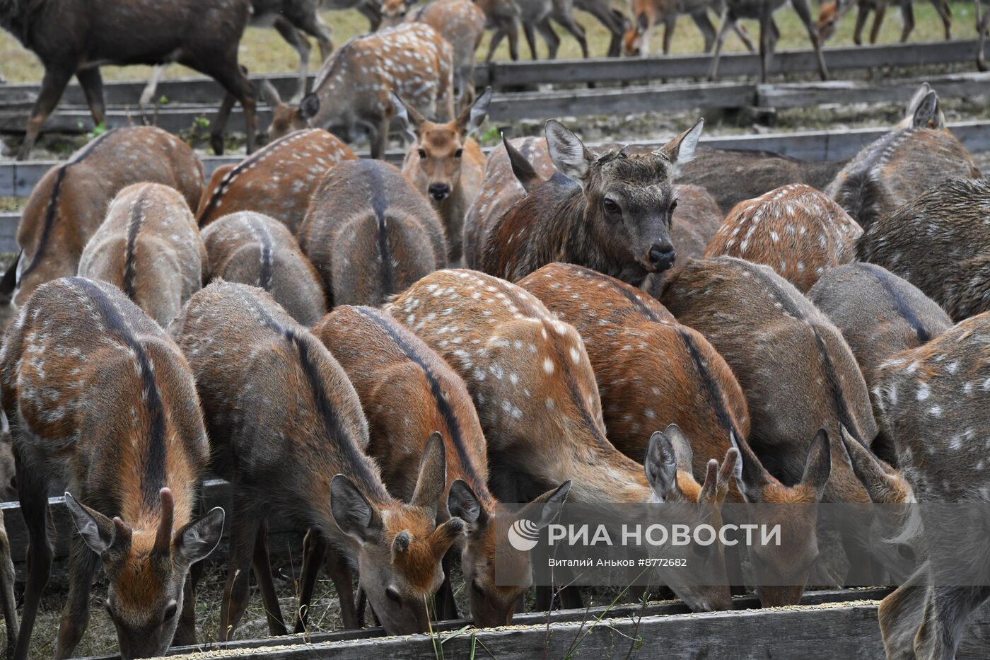 Открытие новых туристических объектов в нацпарке "Земля леопарда"