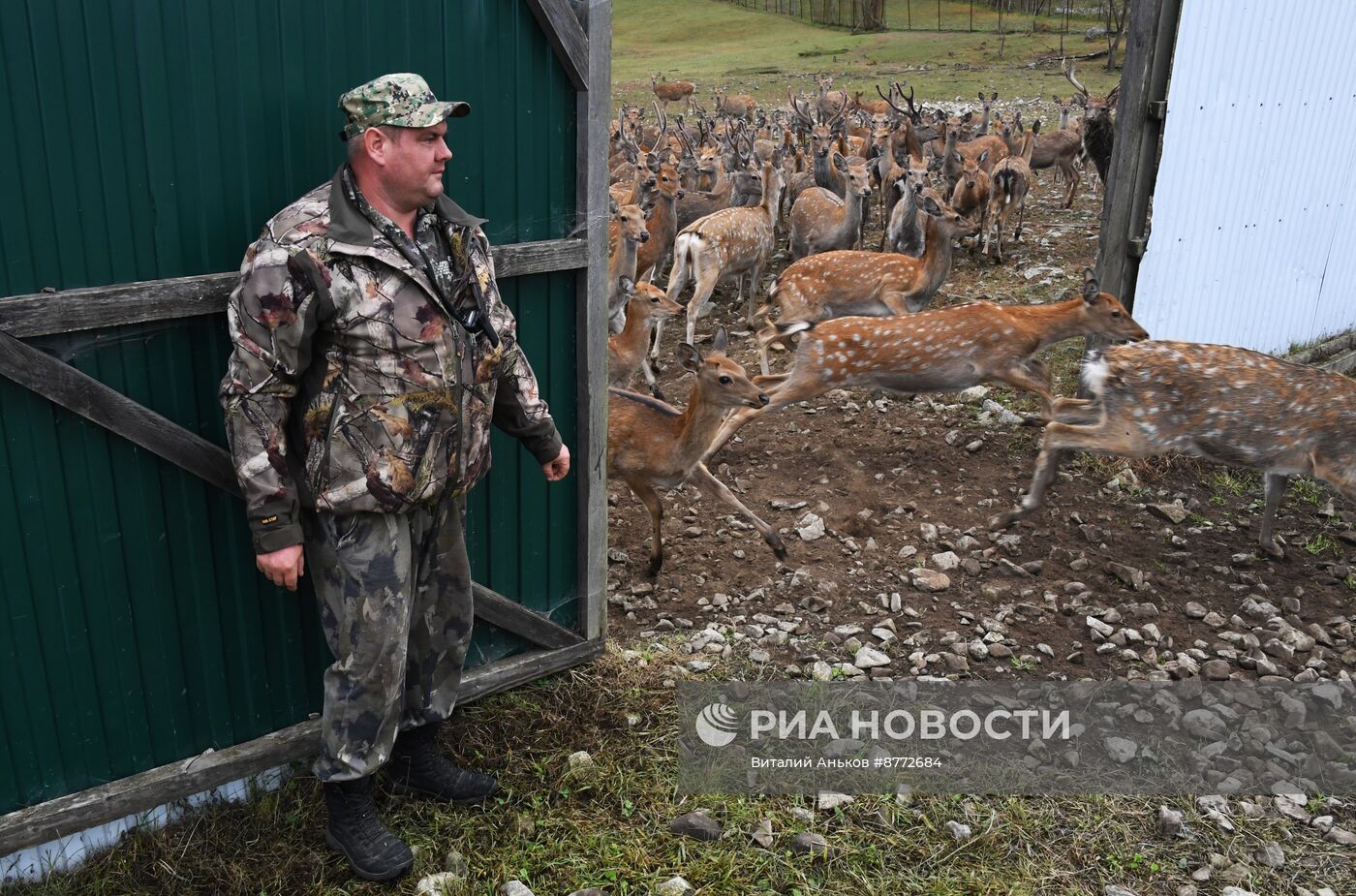 Открытие новых туристических объектов в нацпарке "Земля леопарда"