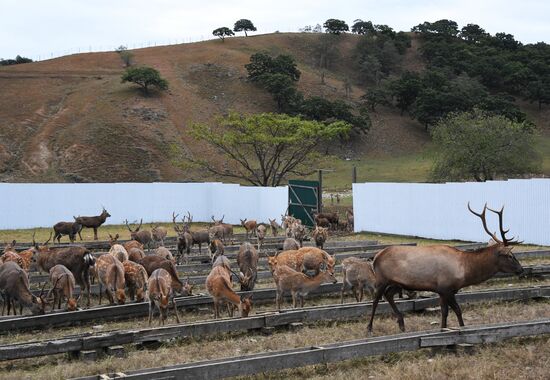 Открытие новых туристических объектов в нацпарке "Земля леопарда"