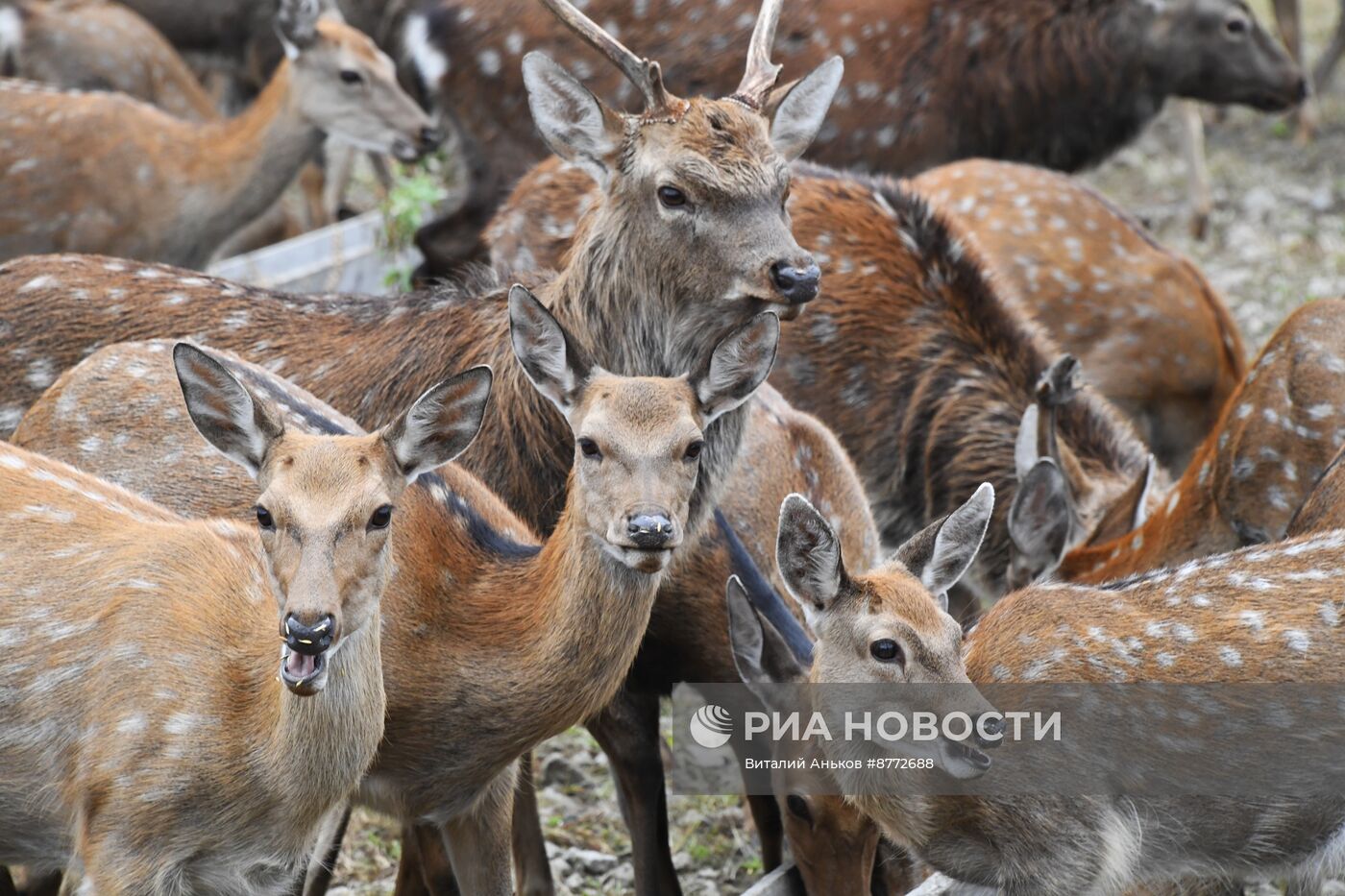 Открытие новых туристических объектов в нацпарке "Земля леопарда"