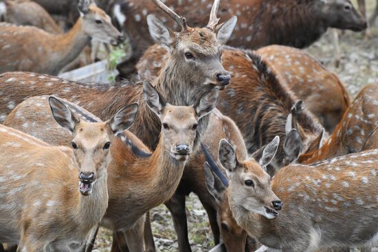 Открытие новых туристических объектов в нацпарке "Земля леопарда"