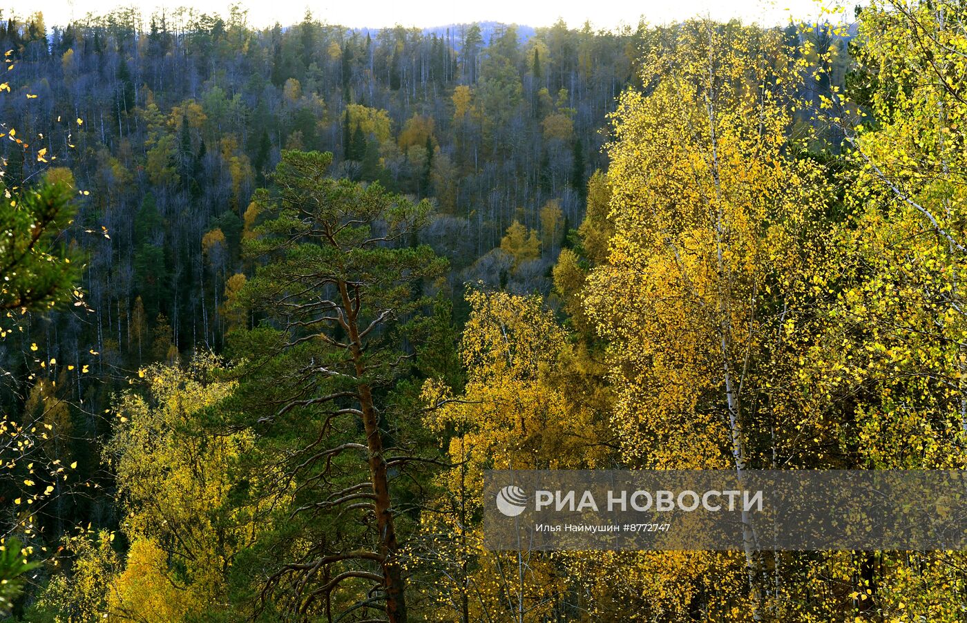 Осень в Сибири