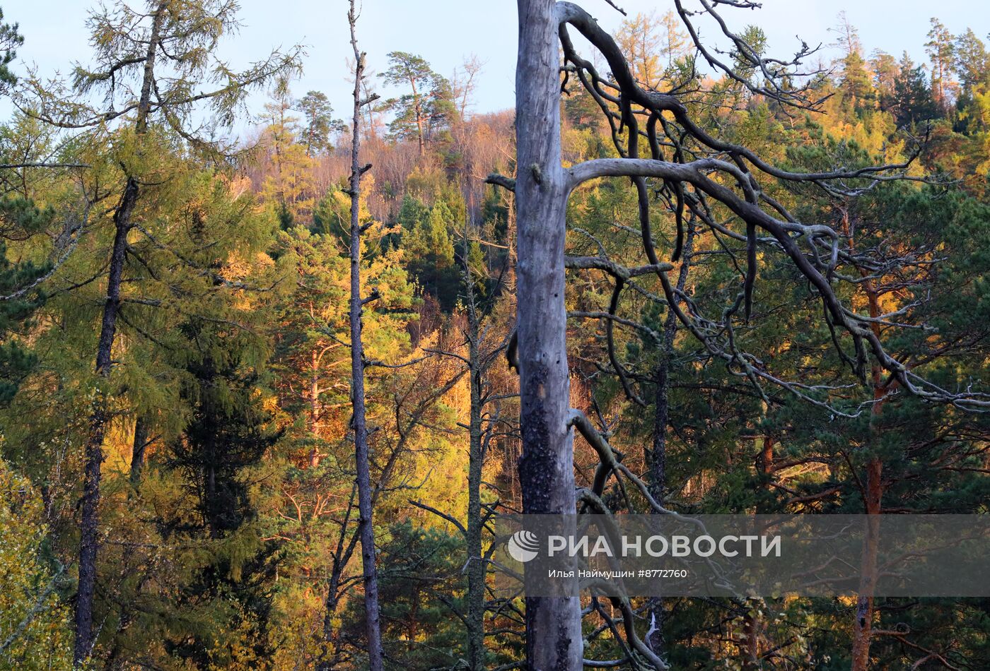 Осень в Сибири