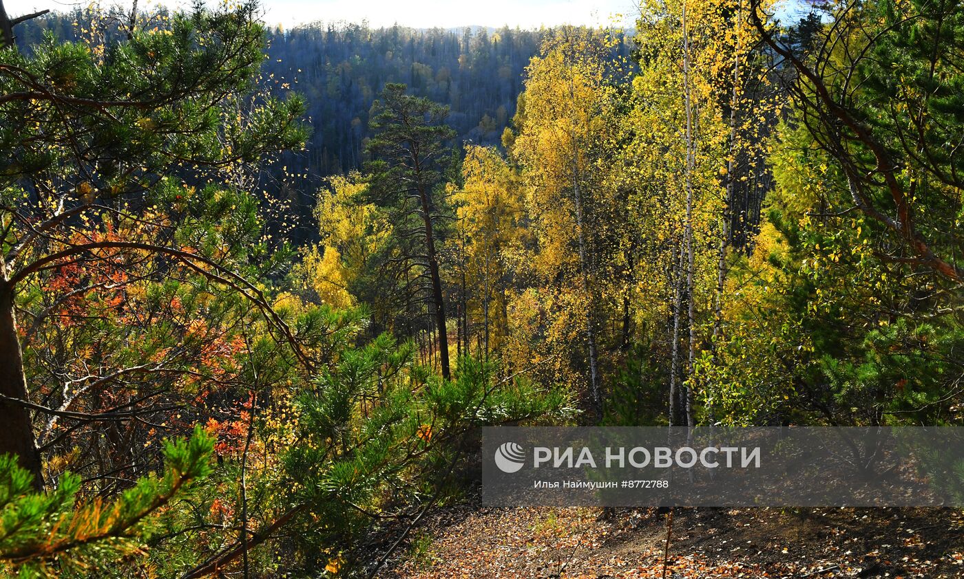 Осень в Сибири