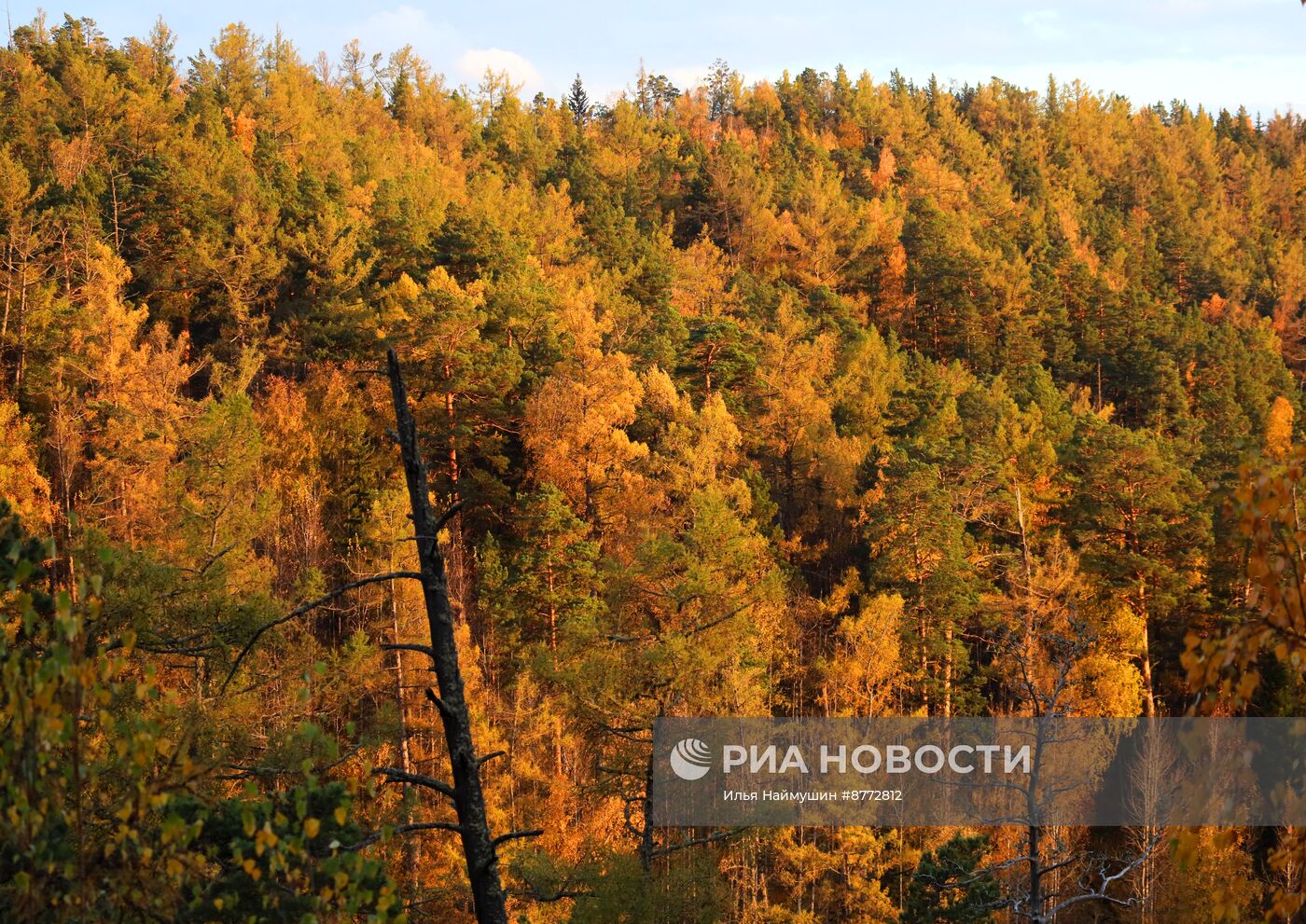 Осень в Сибири