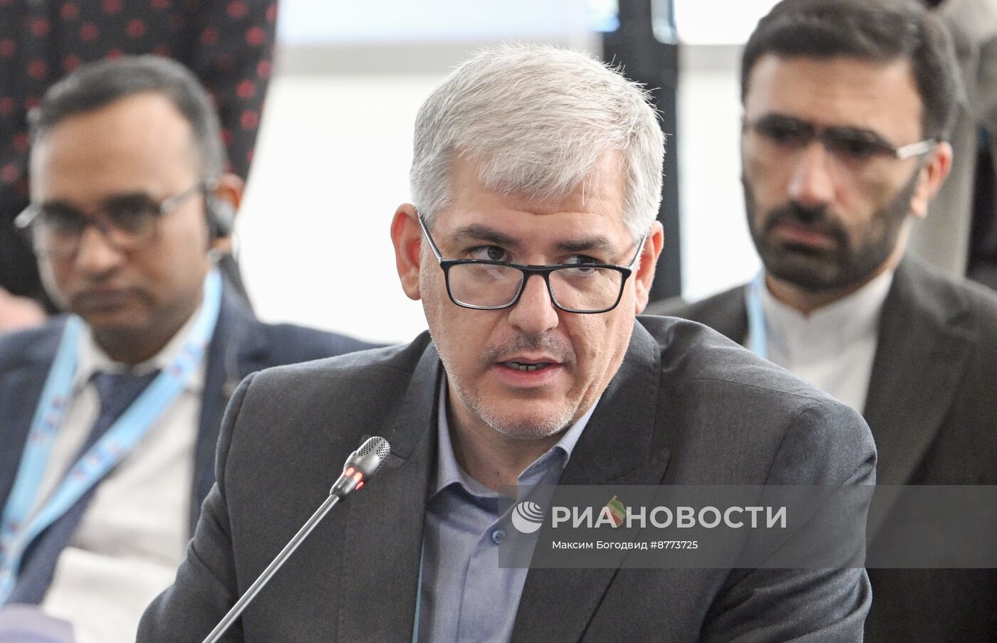 Встреча министров связи стран БРИКС