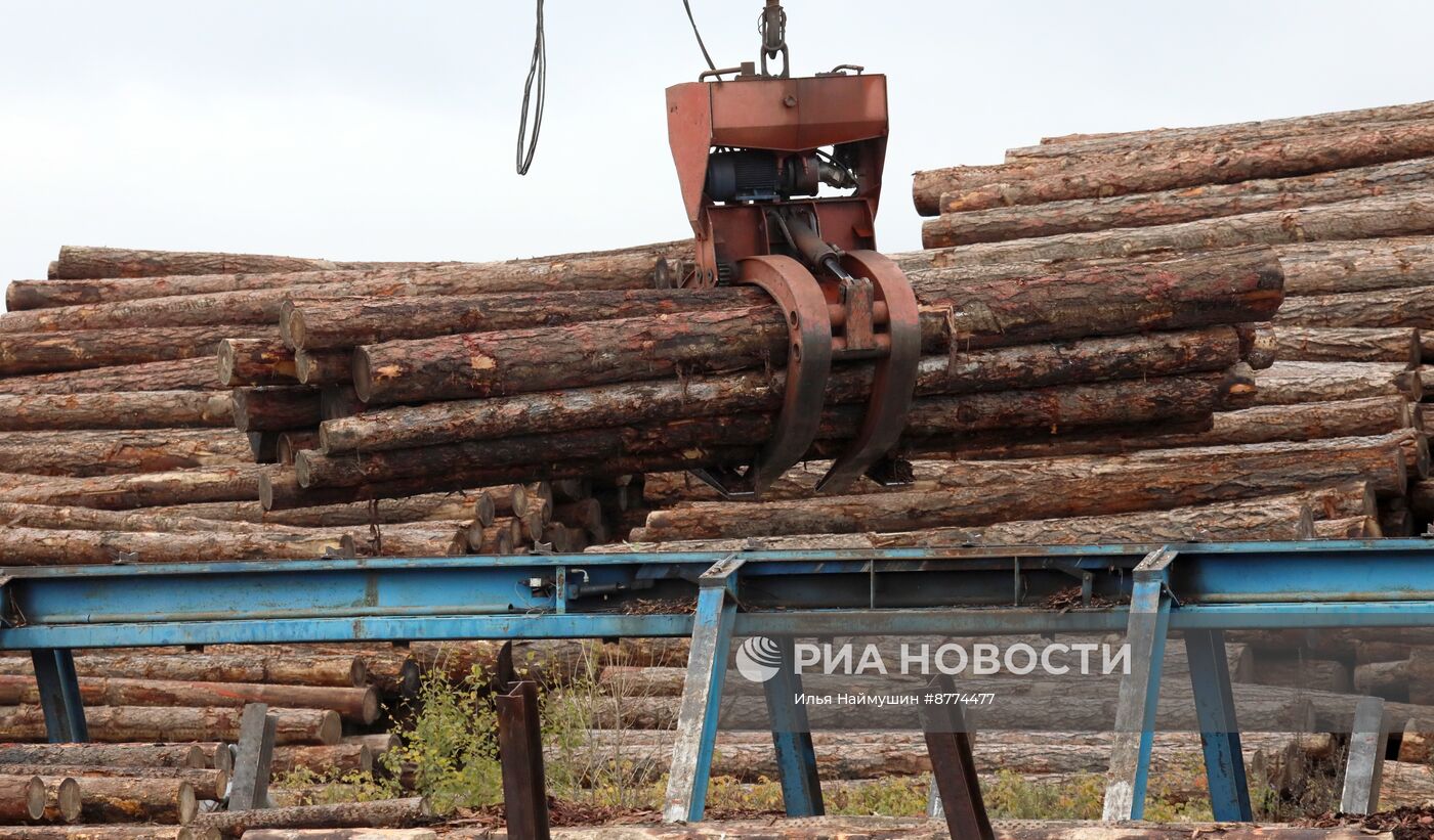 Деревообрабатывающий комплекс в Красноярском крае