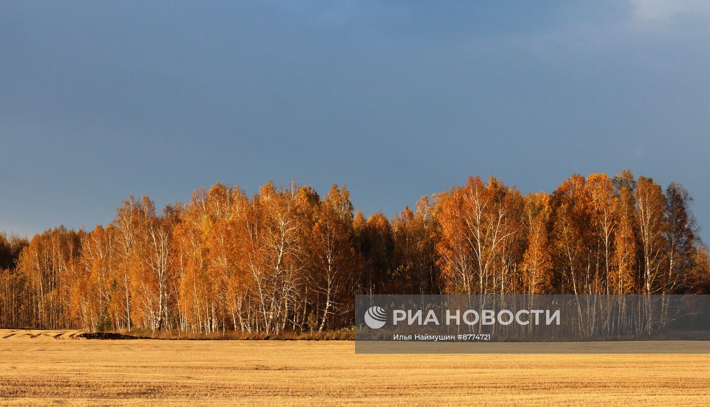 Осень в Красноярском крае