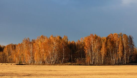 Осень в Красноярском крае