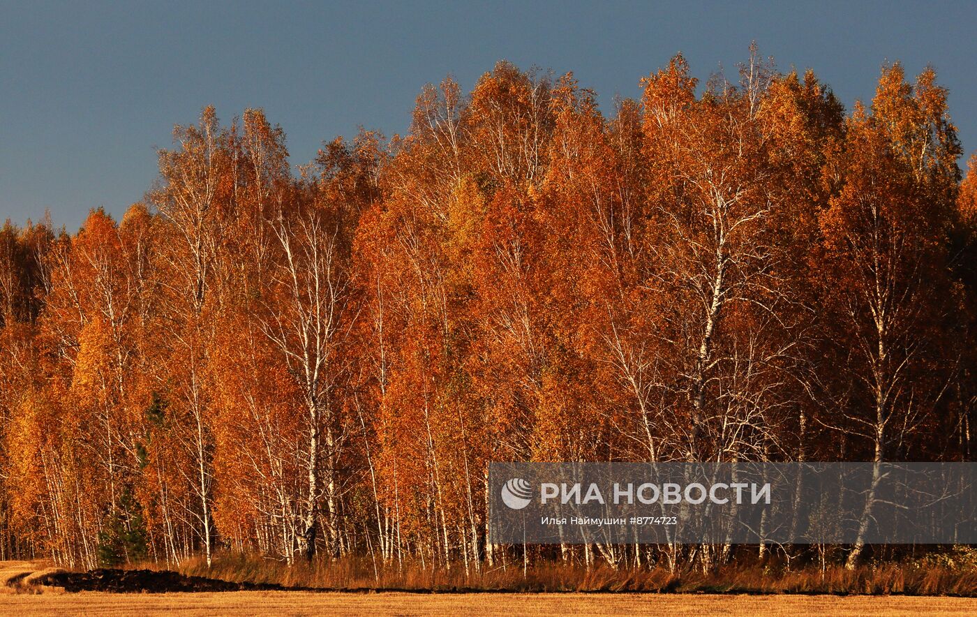 Осень в Красноярском крае