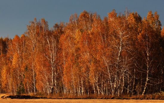 Осень в Красноярском крае