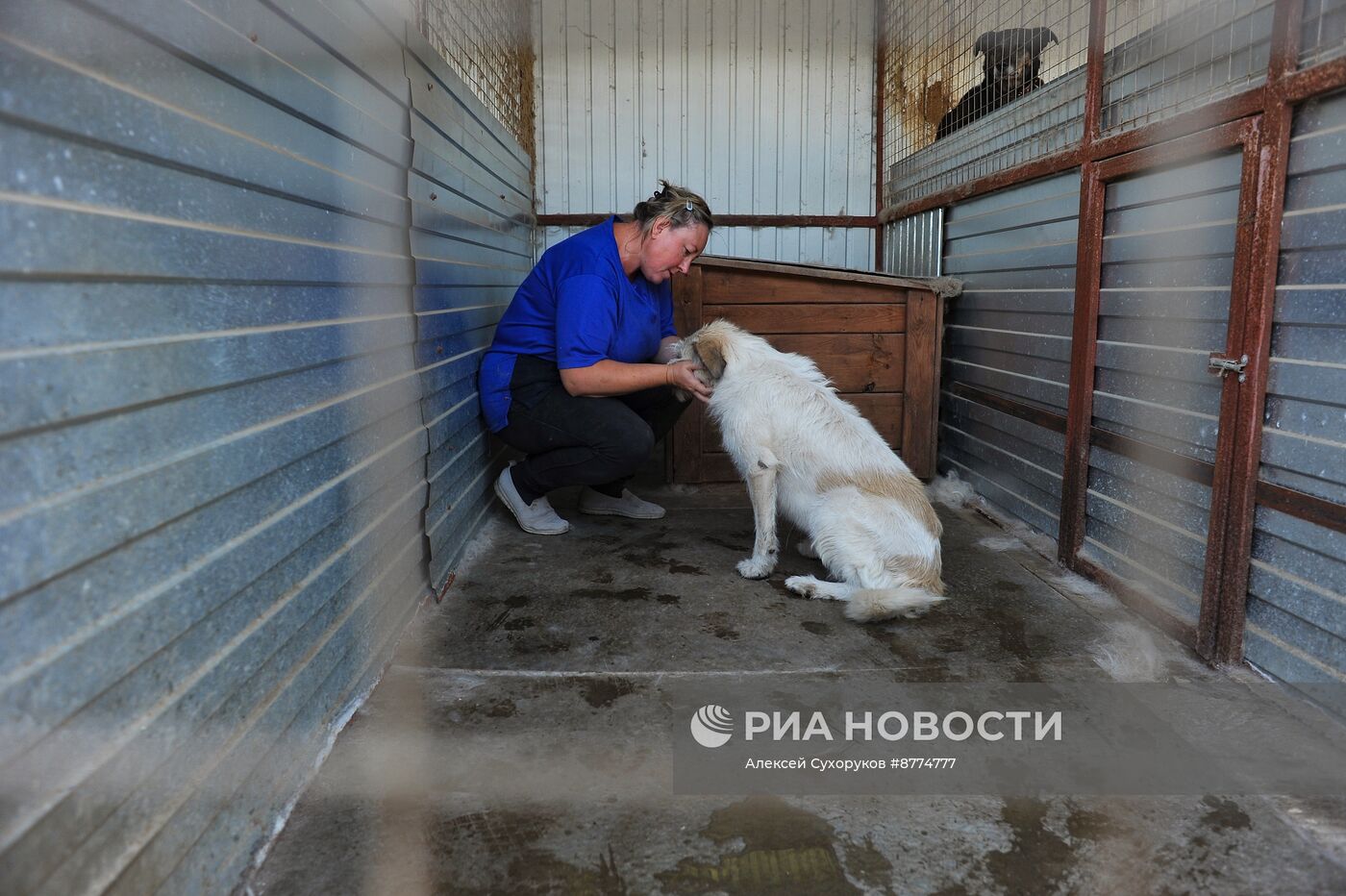 Центр помощи бездомным животным "Доброе сердце" в Тамбове