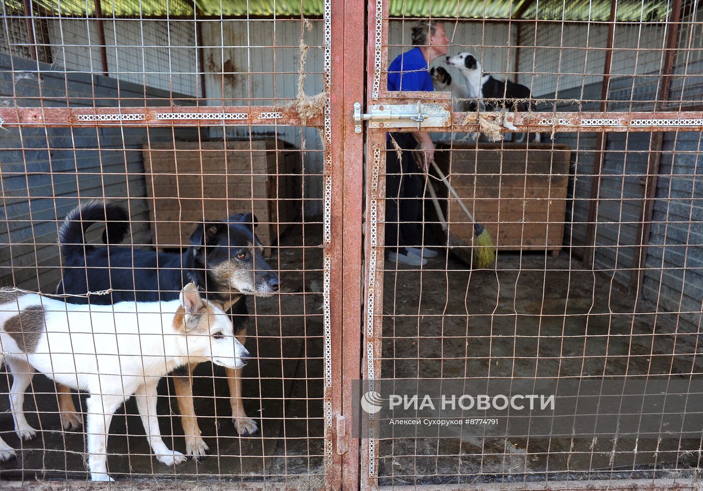 Центр помощи бездомным животным "Доброе сердце" в Тамбове