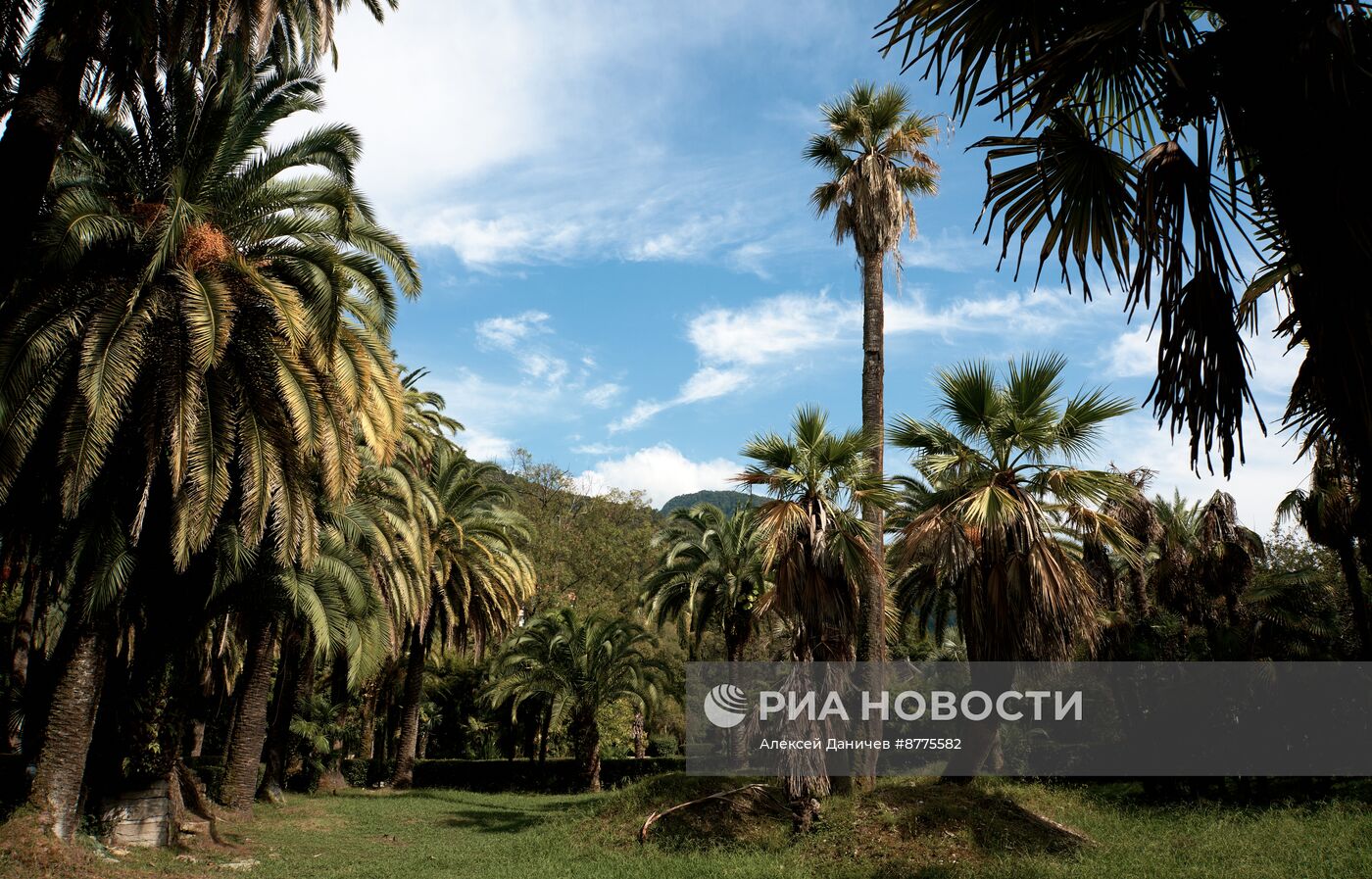 Отдых в бархатный сезон в Абхазии