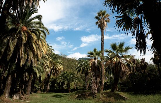 Отдых в бархатный сезон в Абхазии