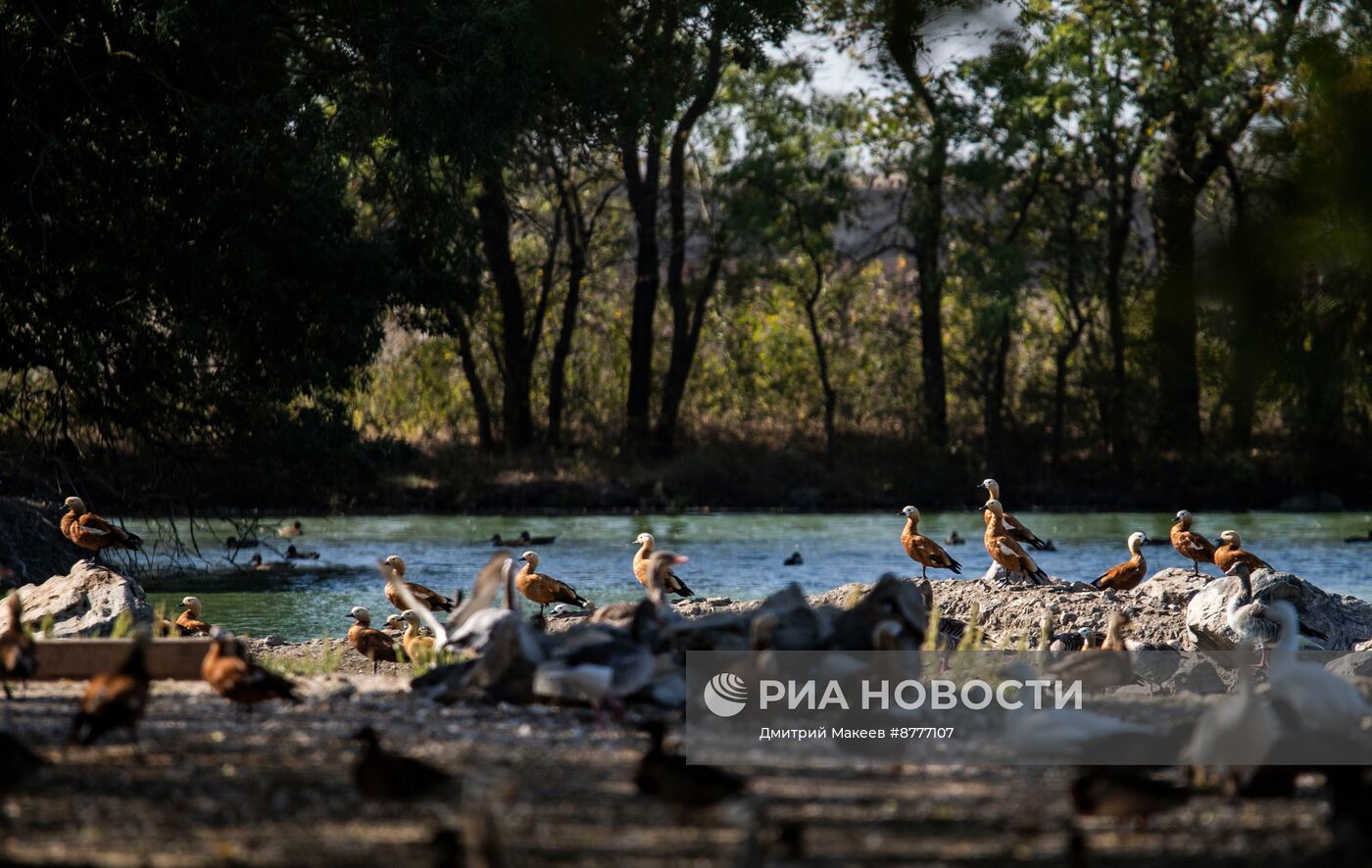 Биосферный заповедник Аскания-Нова в Херсонской области