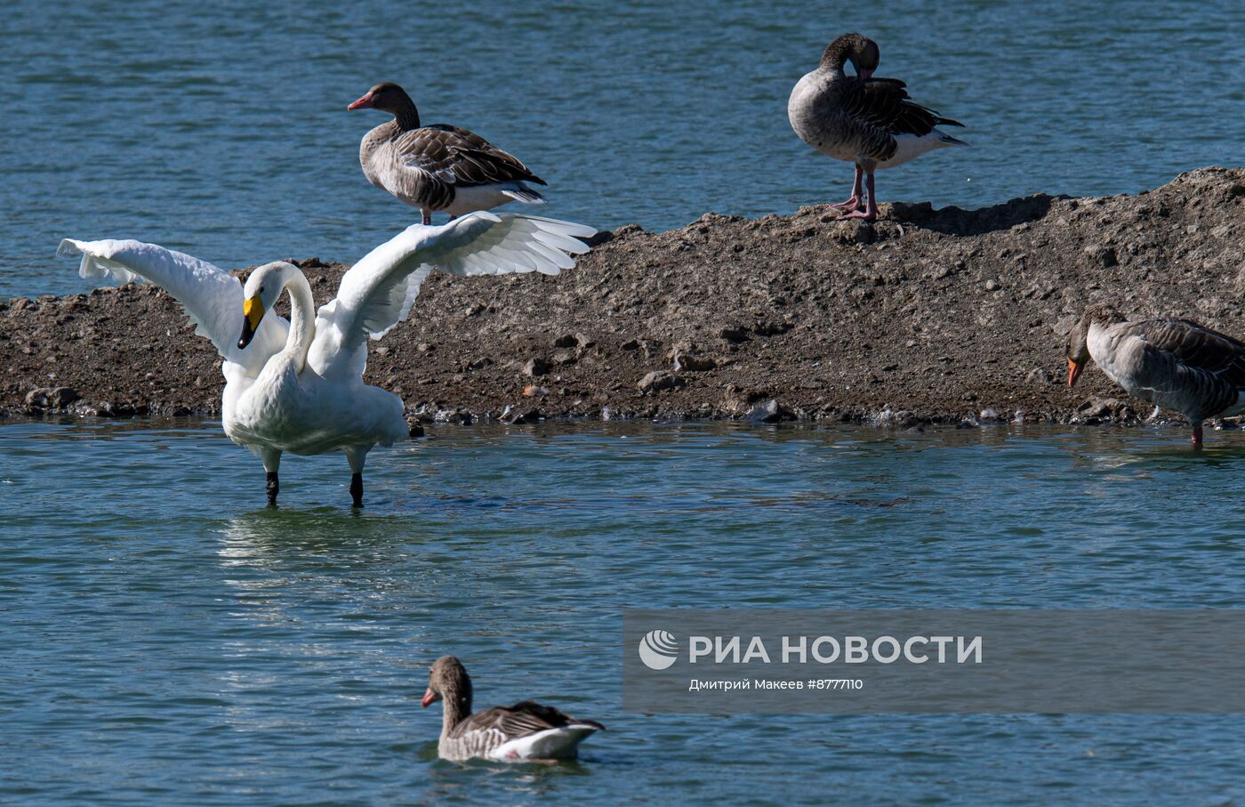 Биосферный заповедник Аскания-Нова в Херсонской области