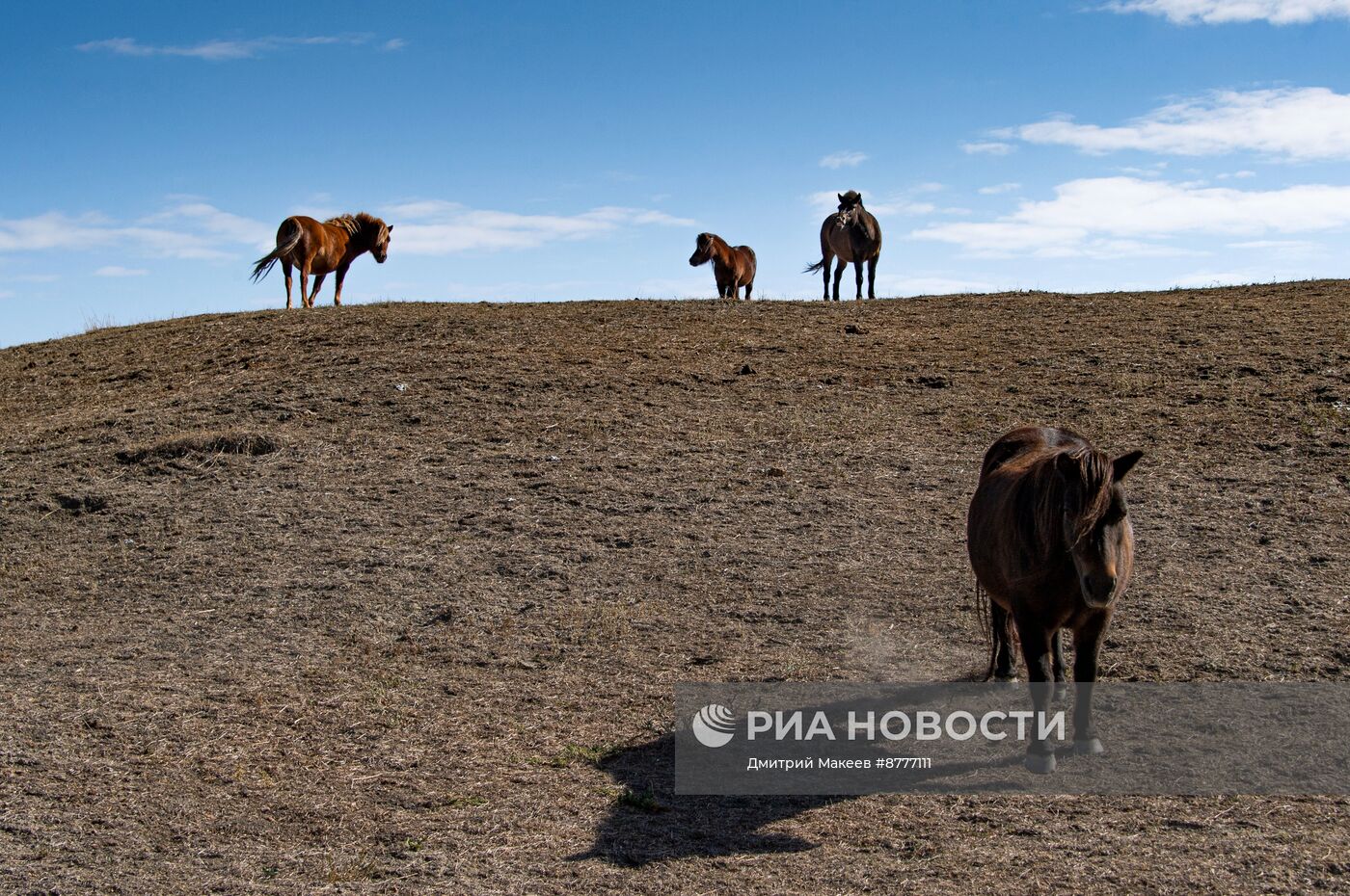 Биосферный заповедник Аскания-Нова в Херсонской области