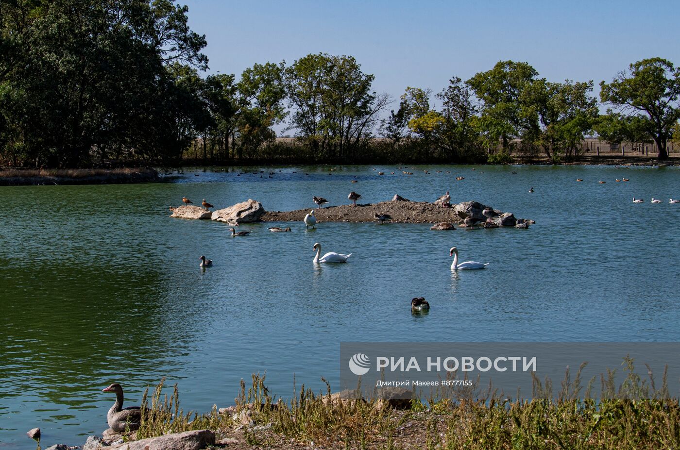 Биосферный заповедник Аскания-Нова в Херсонской области