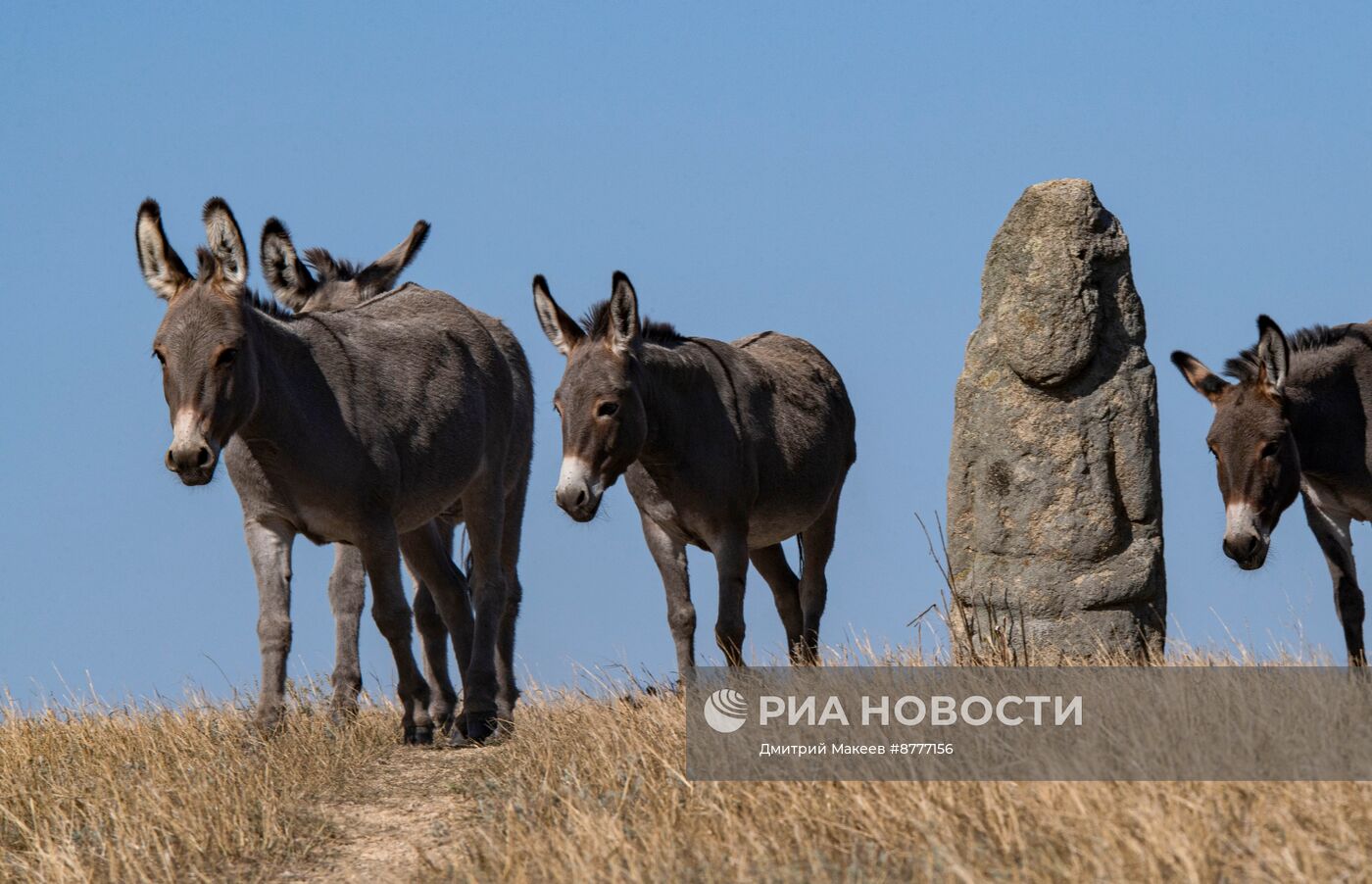 Биосферный заповедник Аскания-Нова в Херсонской области