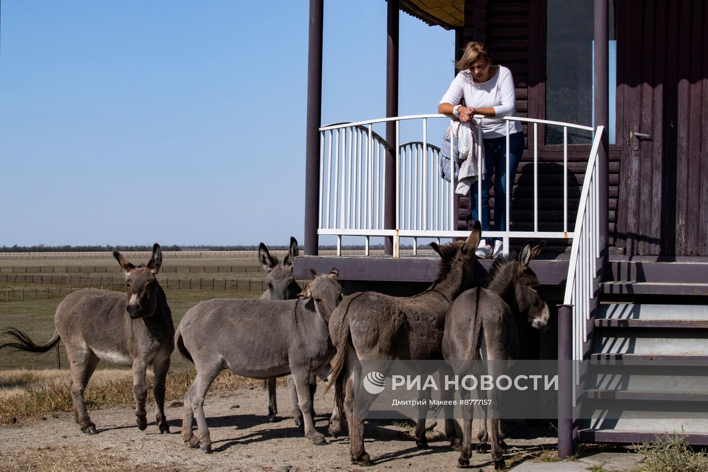 Биосферный заповедник Аскания-Нова в Херсонской области