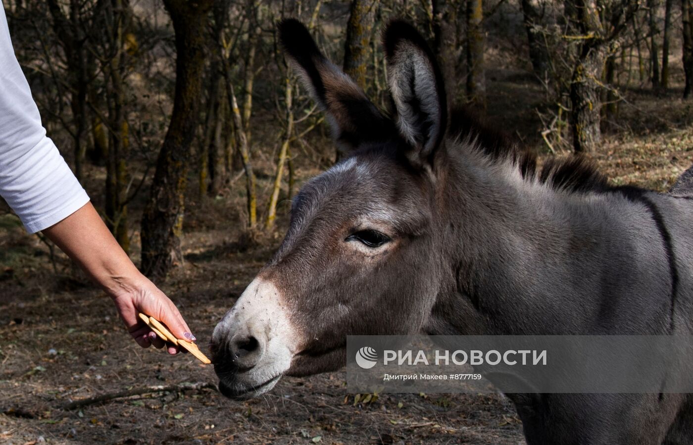 Биосферный заповедник Аскания-Нова в Херсонской области