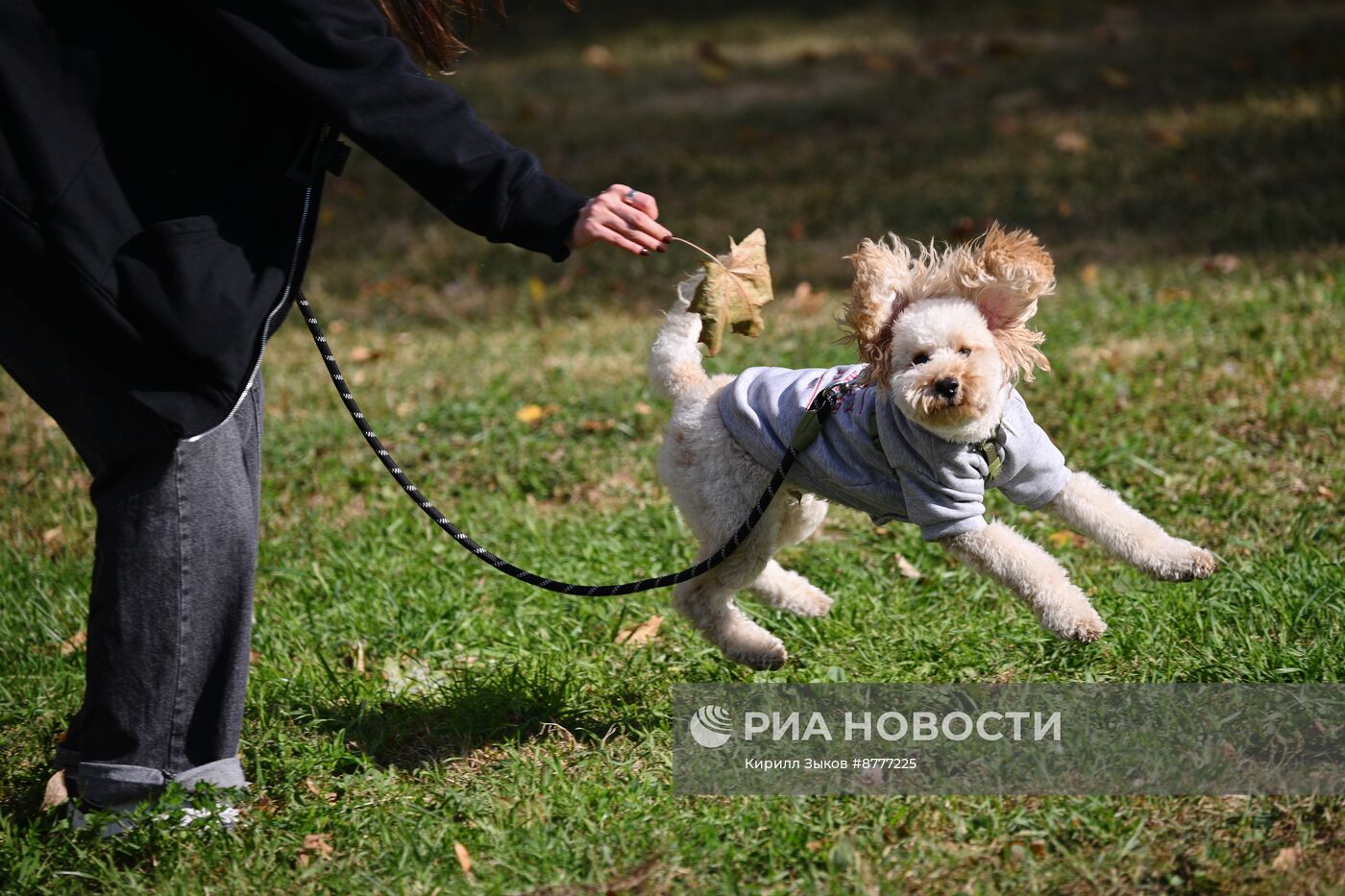 Теплая погода в Москве