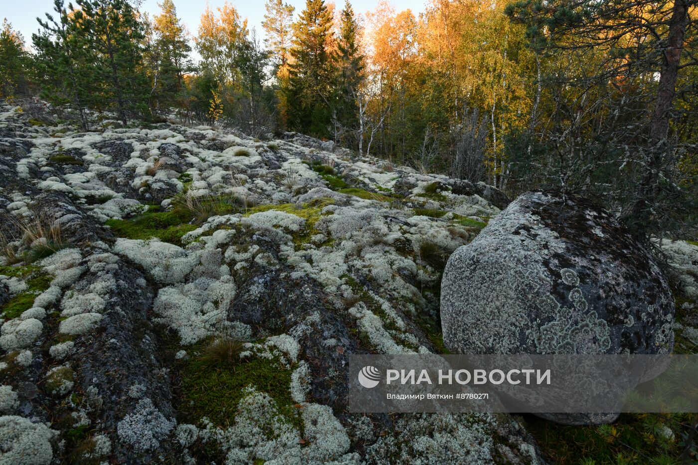 Национальный парк "Ладожские шхеры"