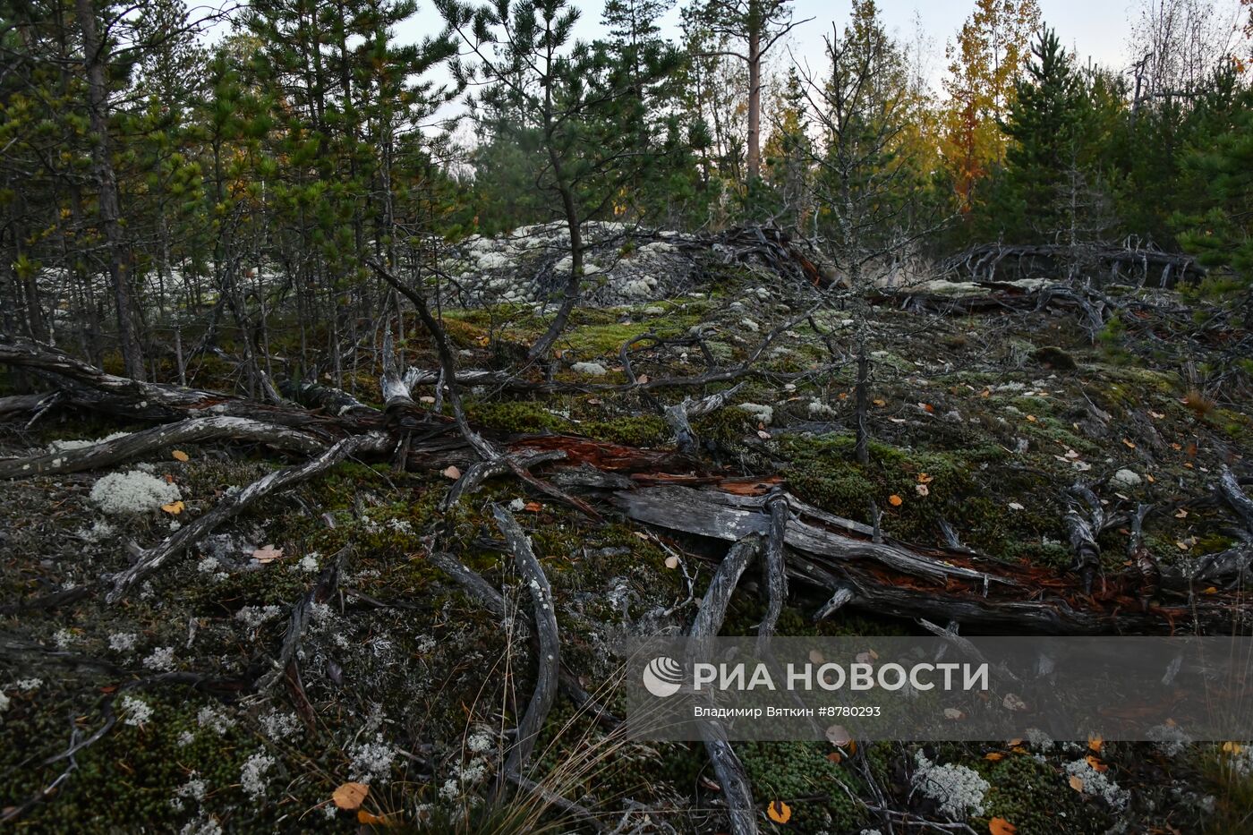 Национальный парк "Ладожские шхеры"