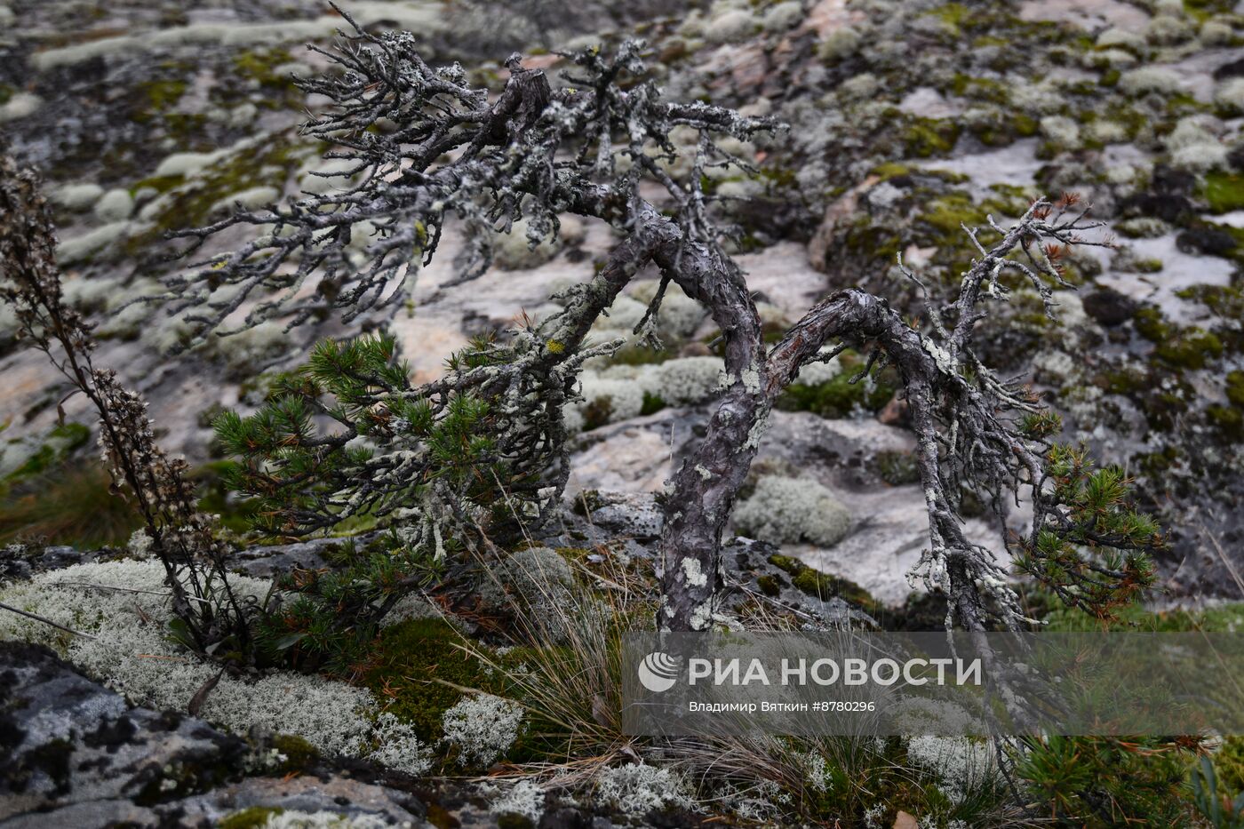 Национальный парк "Ладожские шхеры"