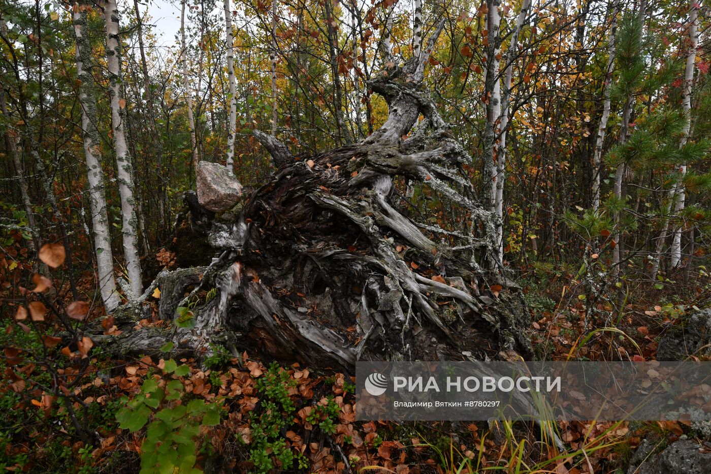 Национальный парк "Ладожские шхеры"