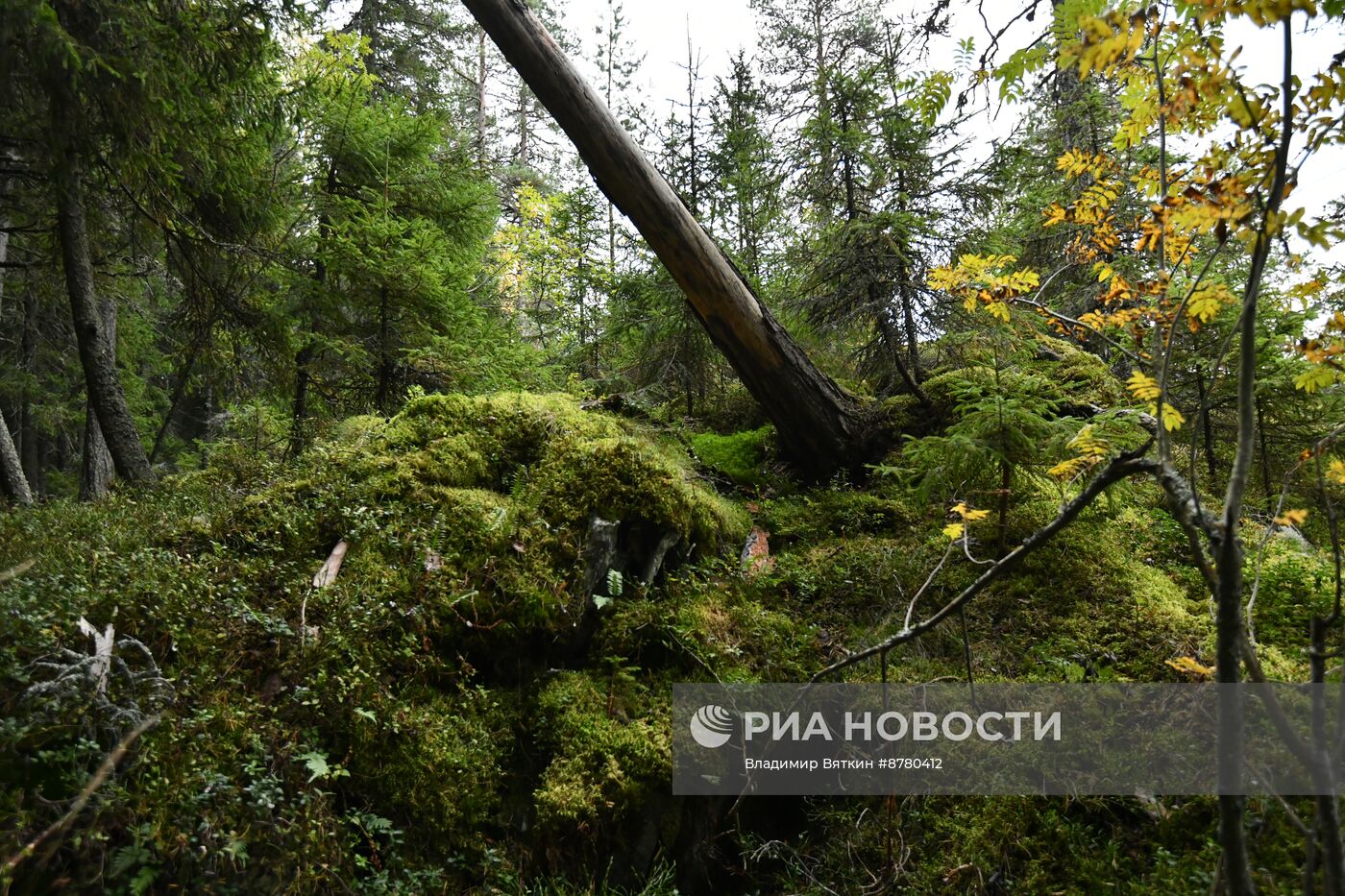 Национальный парк "Ладожские шхеры"