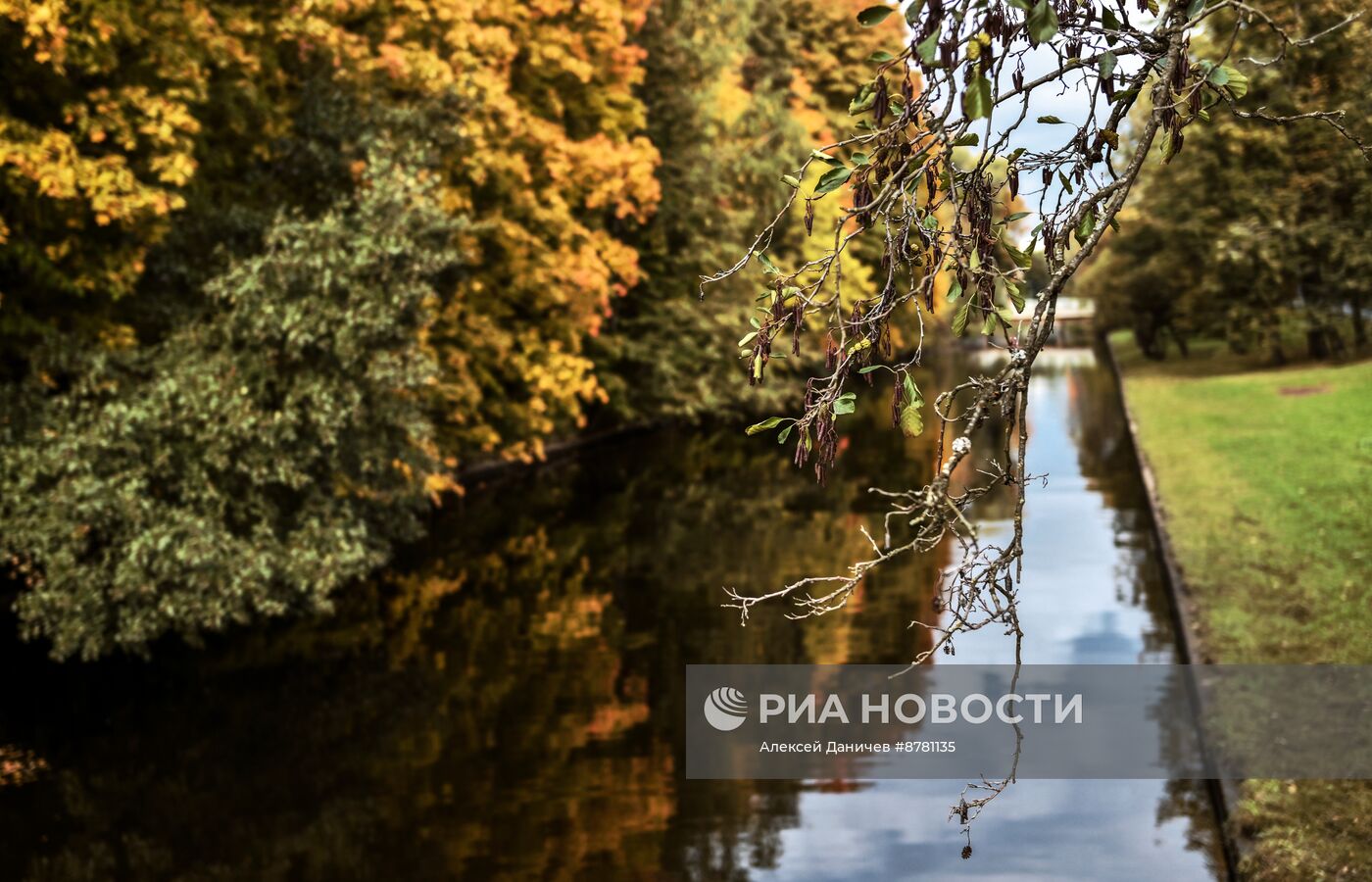 Золотая осень в России