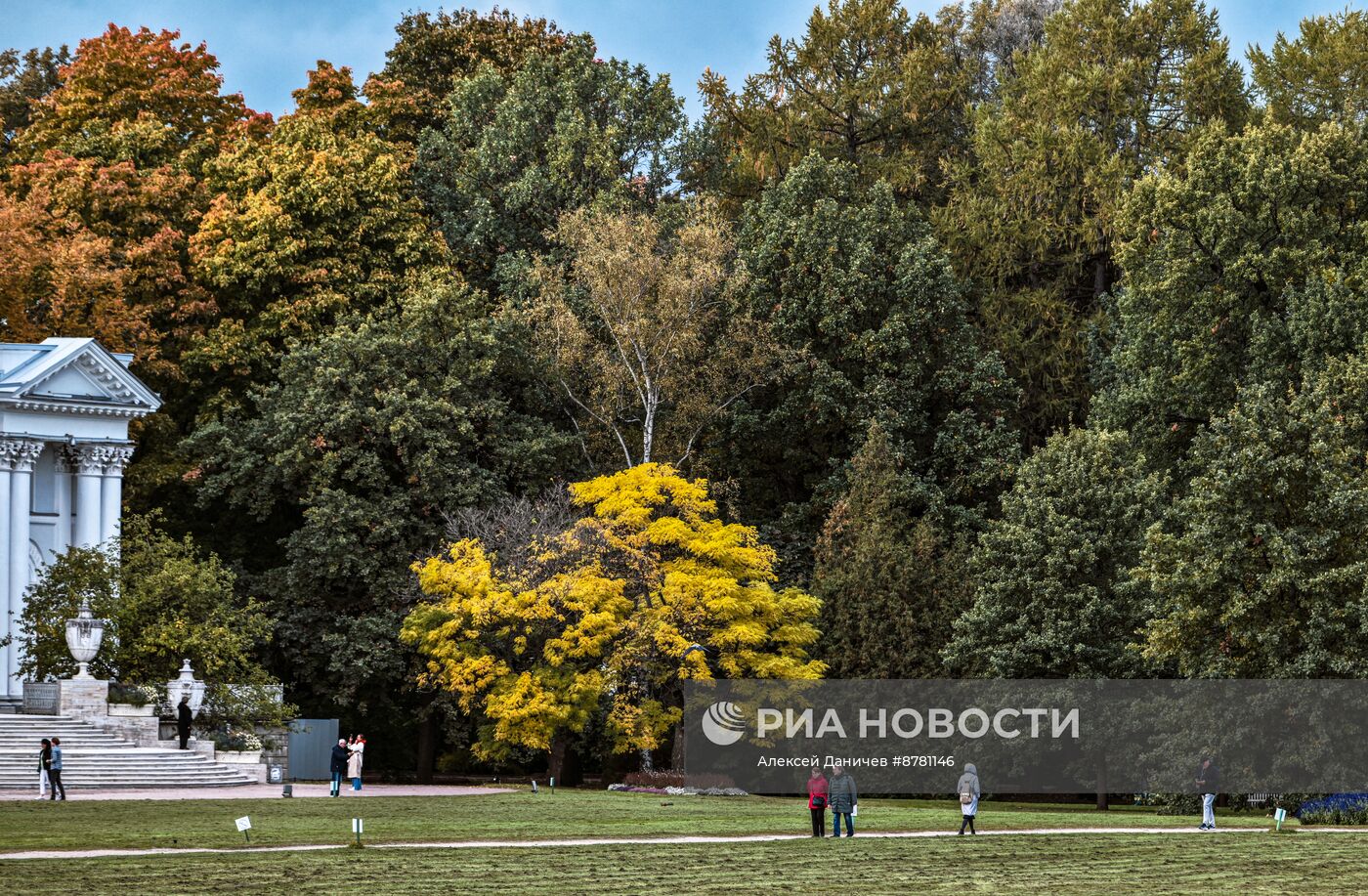 Золотая осень в России