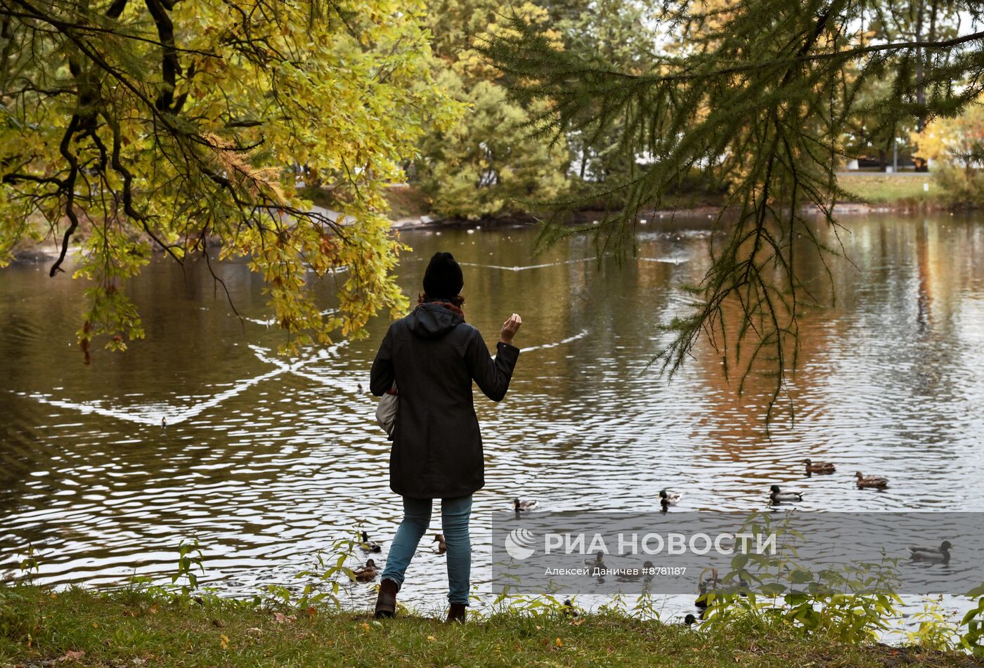 Золотая осень в России