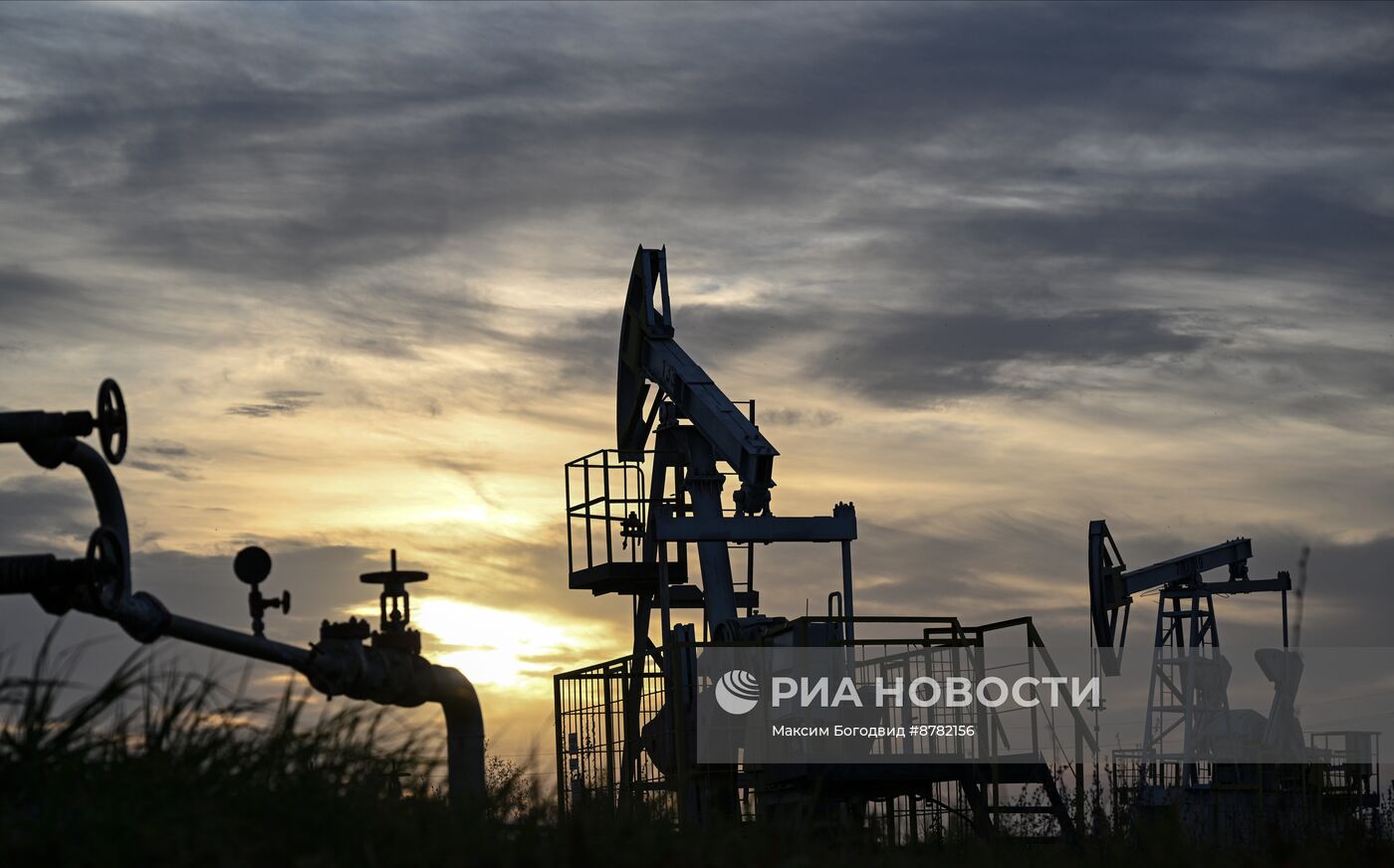 Нефтяные качалки в Татарстане 