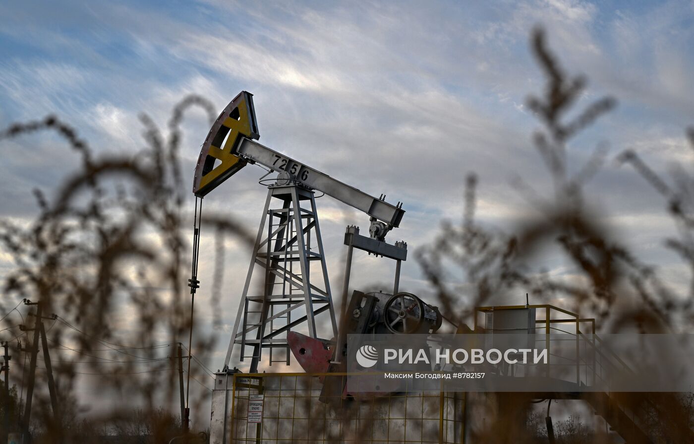 Нефтяные качалки в Татарстане