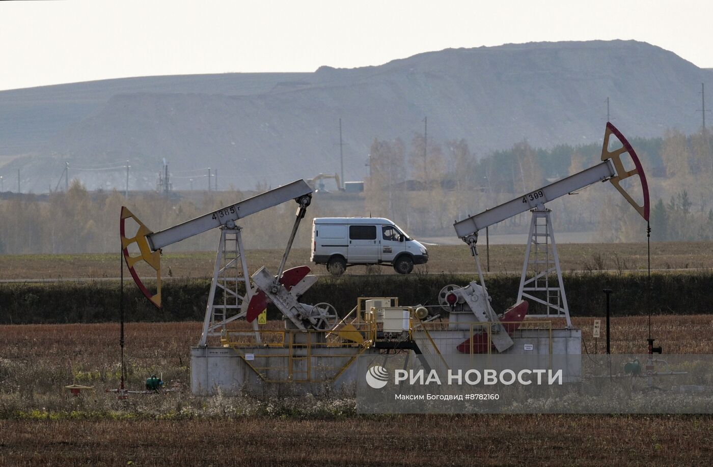 Нефтяные качалки в Татарстане 