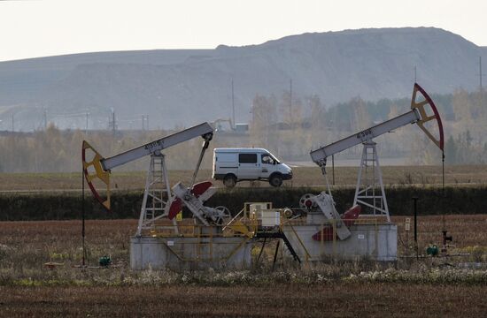 Нефтяные качалки в Татарстане 