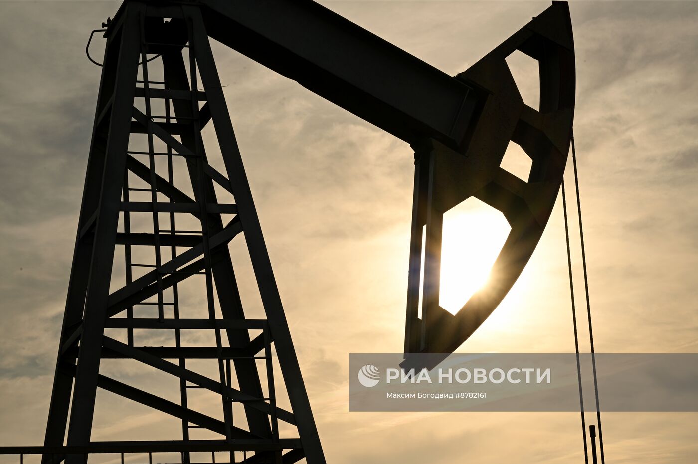 Нефтяные качалки в Татарстане 