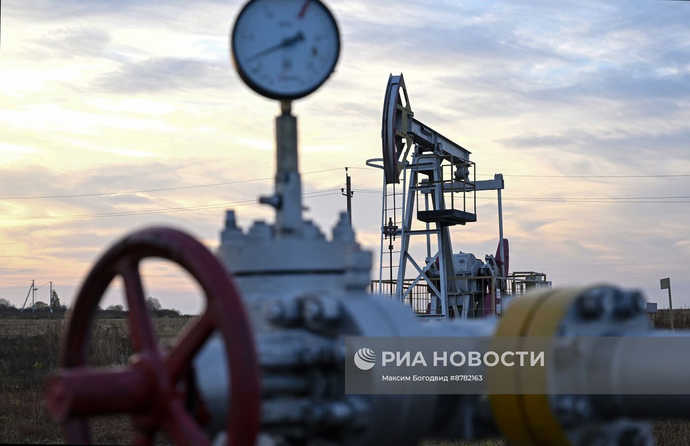 Нефтяные качалки в Татарстане 