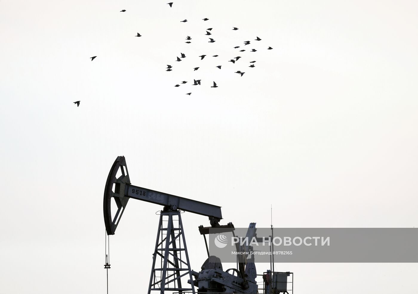 Нефтяные качалки в Татарстане 