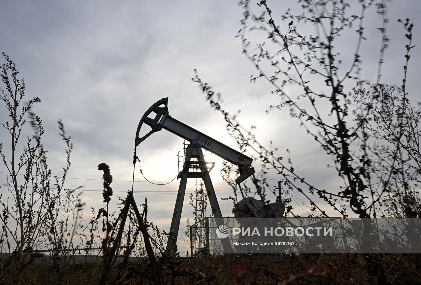 Нефтяные качалки в Татарстане 