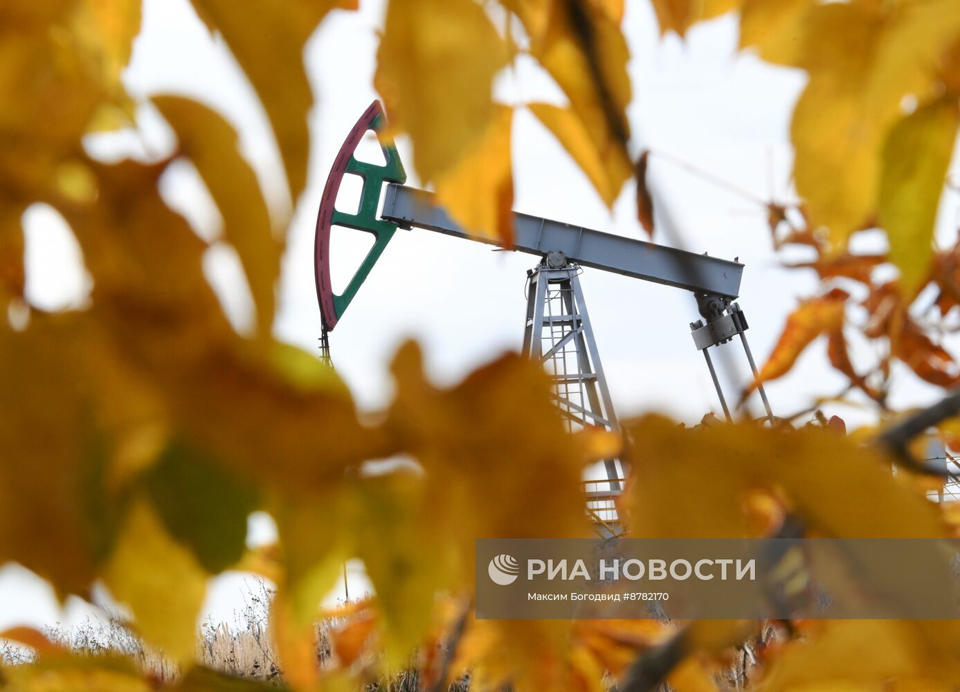 Нефтяные качалки в Татарстане