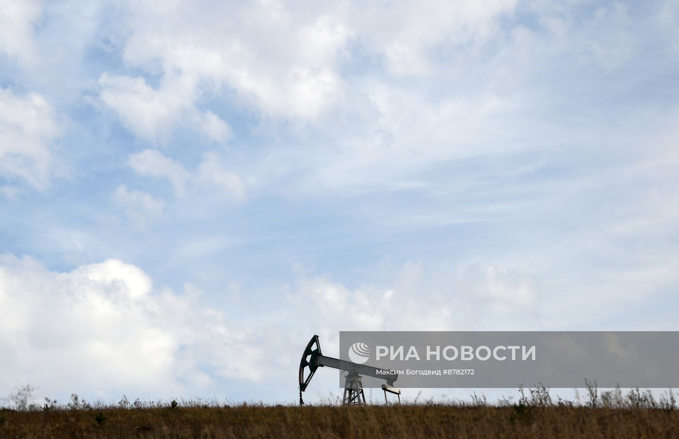 Нефтяные качалки в Татарстане 