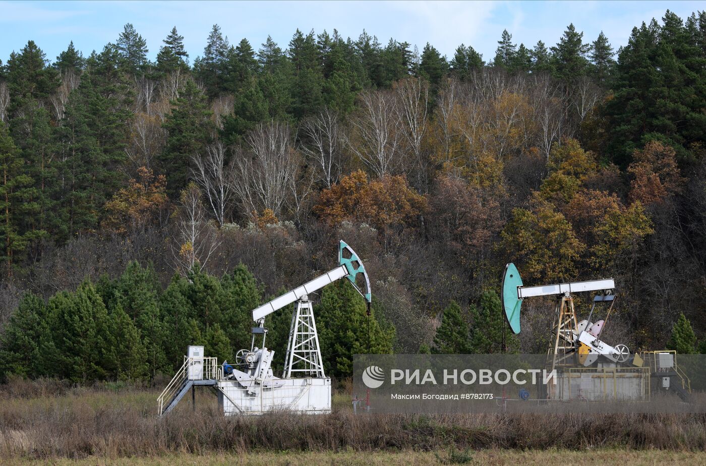 Нефтяные качалки в Татарстане 